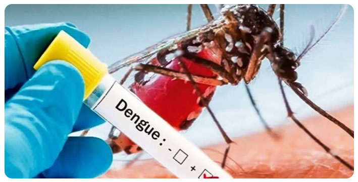 assam-reports-84-dengue-infected-cases-in-last-24-hours