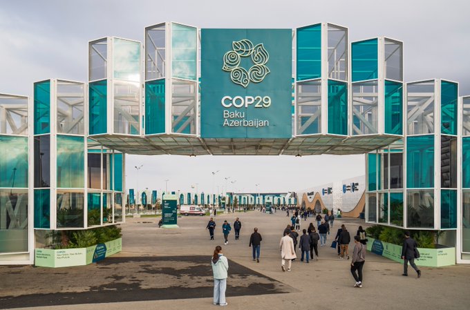 COP29 Presidency Pushes Through Carbon Credit Standards, Sparking Debate on Speed and Process