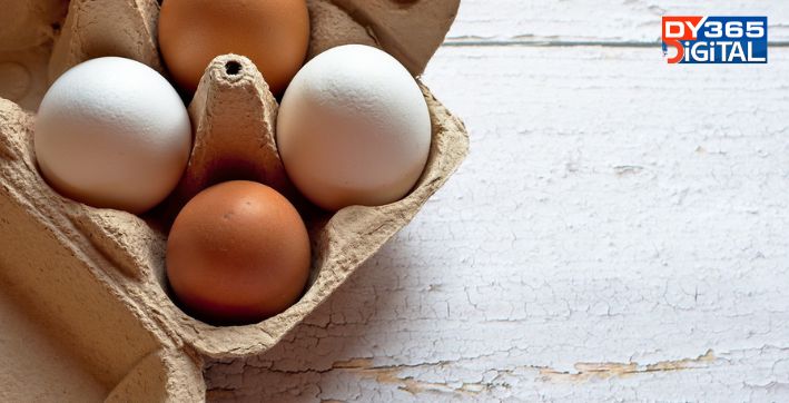 bihar-removes-eggs-from-mid-day-meal-menu-amid-bird-flu-outbreak