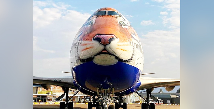 tiger-faced-customised-jet-reaches-namibia-to-bring-cheetahs-to-india