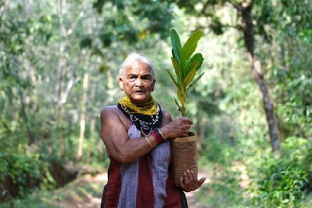 padma-shri-awardee-tulsi-gowda-mother-of-trees-passes-away-at-86-in-karnatak