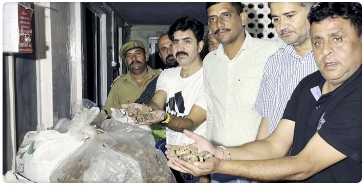 guchhi-mushrooms-worth-90-lakh-seized-in-jammu--kashmir