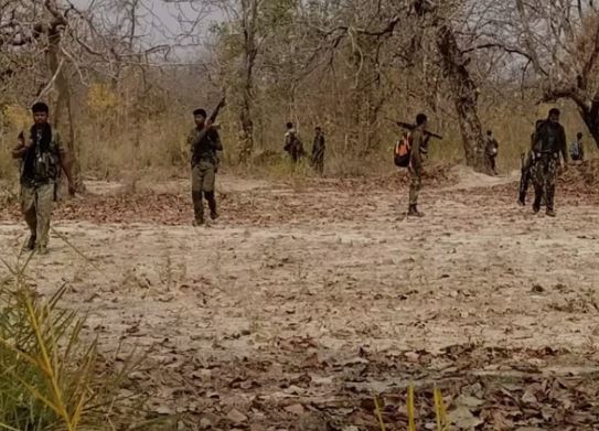 At Least 14 Maoists Killed in Fierce Encounter with Security Forces in Chhattisgarh