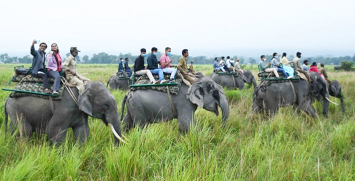 Jeep Safari, Elephant Safari at Kaziranga National Park to Be Closed For Tourists 