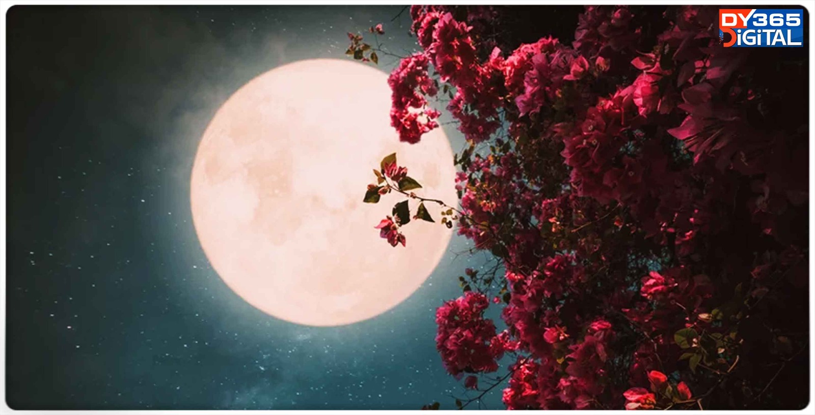 know-about-april-full-pink-moon-when-will-it-appear