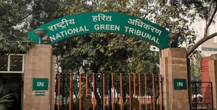 ngt-imposes-environment-compensation-of-rs-200-crore-on-nagaland