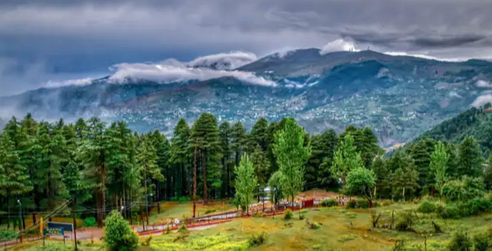 Wondering which Hill Station to Travel Next? Check out Patnitop in Jammu & Kashmir