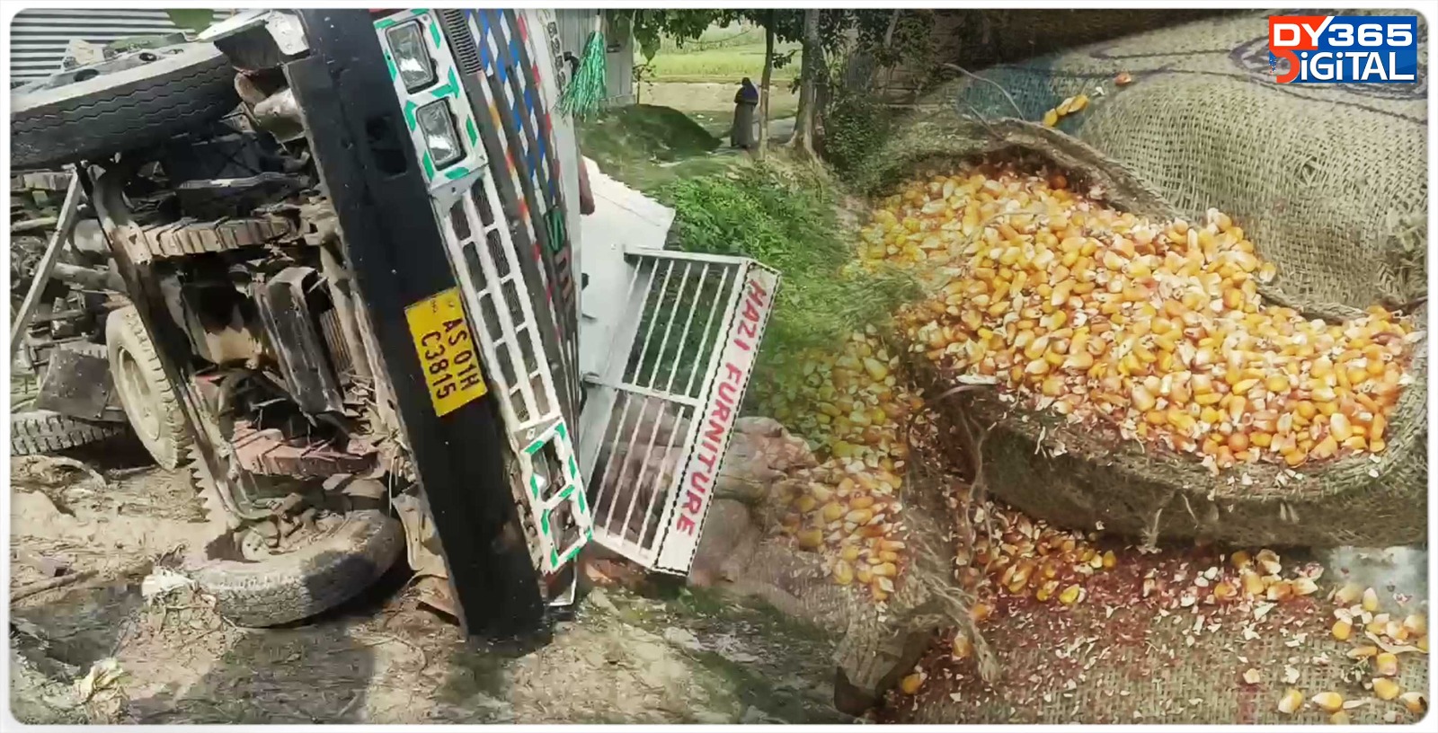 truck-loaded-with-corn-seeds-rams-into-tree-in-bongaigaon
