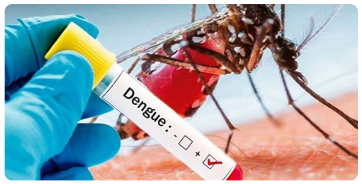 kamrup-m-records-8-dengue-infection-cases-till-now-in-assam