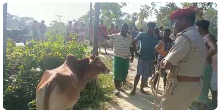 3-cattle-smugglers-arrested-in-bijni-assam
