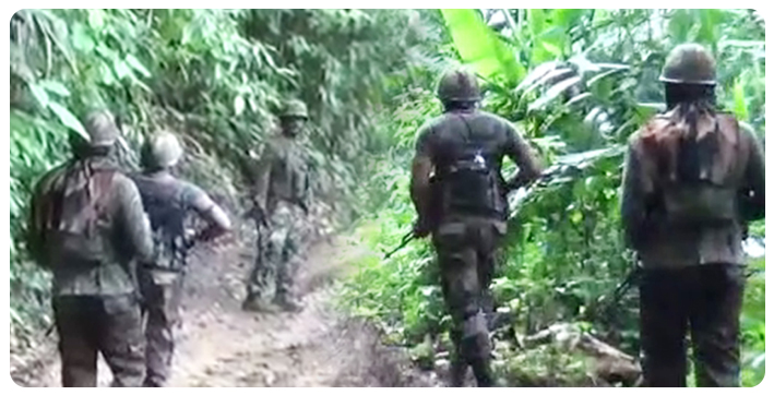 NSCN, ULFA-I Militants Attack Assam Rifles Troops in Arunachal Pradesh