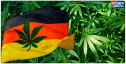 Germany Legalizes Possession of Small Amounts of Cannabis