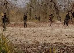 At Least 14 Maoists Killed in Fierce Encounter with Security Forces in Chhattisgarh..