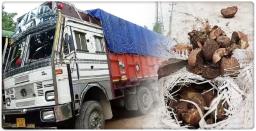 Assam Police Seizes 100 Sacks of Burmese Supari from Truck in Cachar