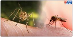 Japanese Encephalitis Outbreak, 10 Deaths Reported at Guwahati Medical College Hospital.