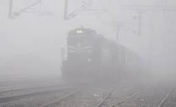 Fog and Cold Wave Paralyze North India: Flights, Trains Delayed; Schools Shut in Se..