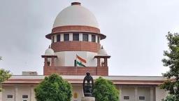 Supreme Court Sets April Hearing for Petitions Challenging GM Mustard Approval