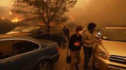 Los Angeles Wildfires Claim 5 Lives, Force 137,000 to Flee; Elon Musk Deploys Free ..