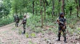 Three Maoists Killed in Encounter with Security Forces in Chhattisgarh