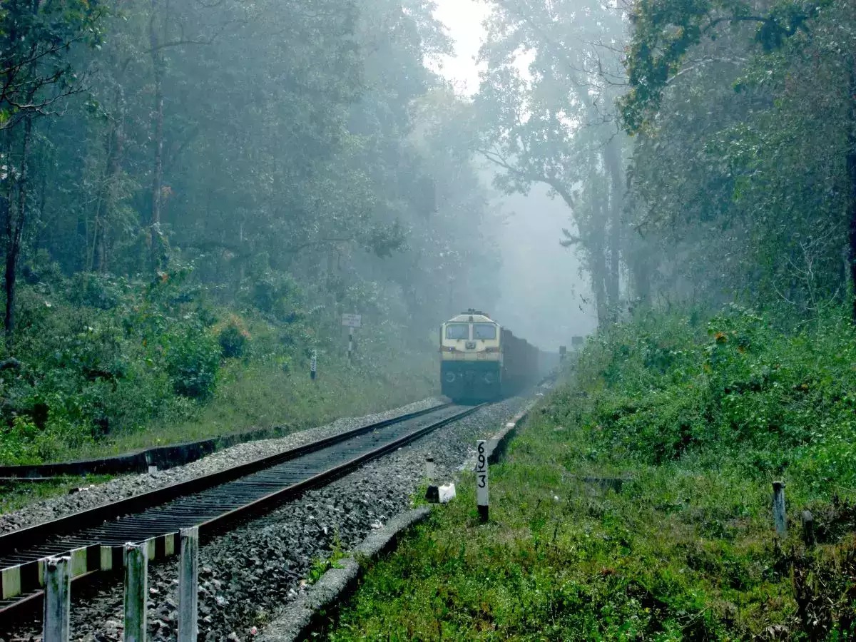 টিকট নোহোৱাকৈ যাত্ৰা কৰিব পৰা  ভাৰতৰ একমাত্ৰ ৰে’ল