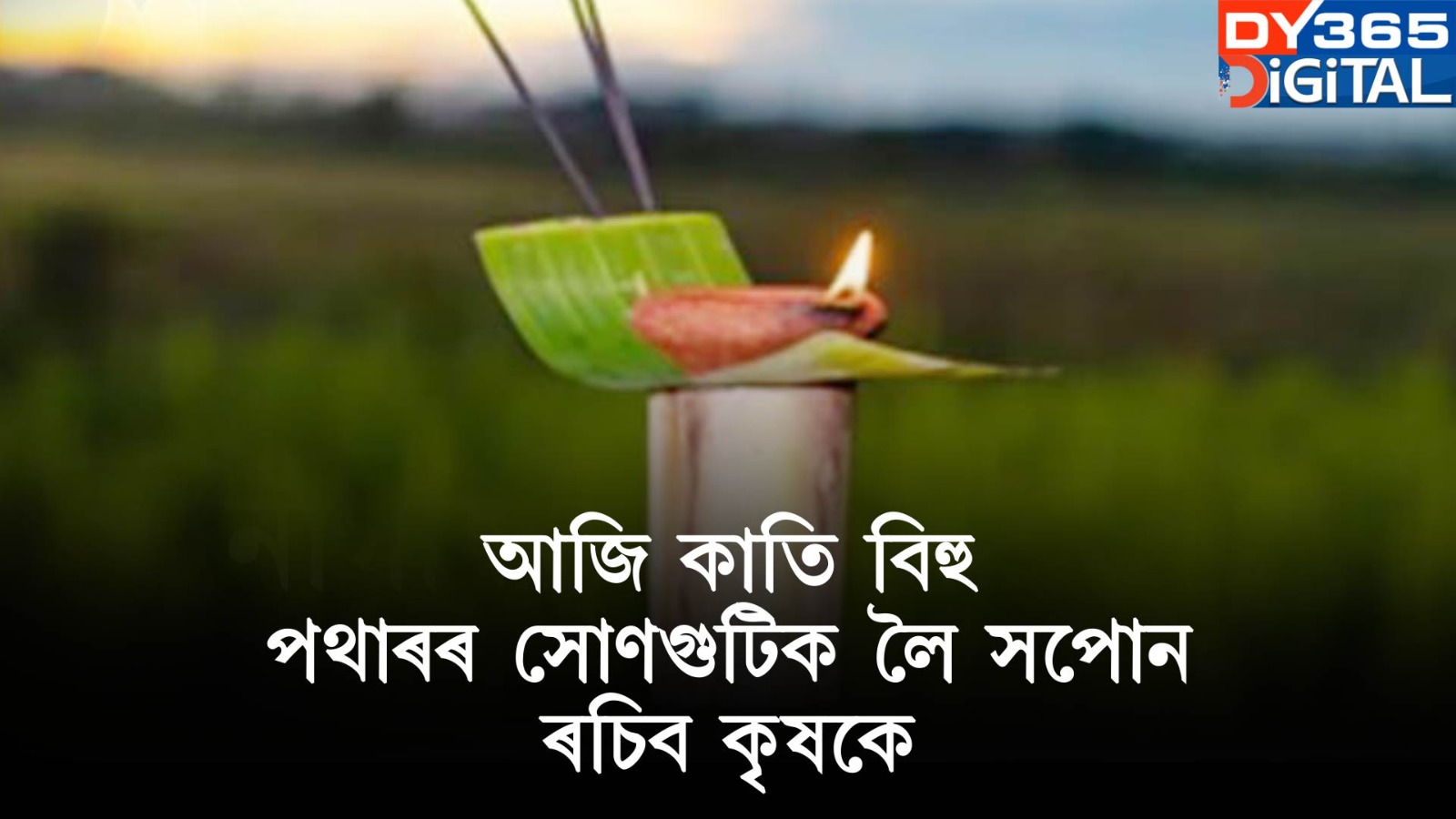 আজি কাতি বিহু। পথাৰৰ সোণগুটিক লৈ সপোন ৰচিব কৃষকে।