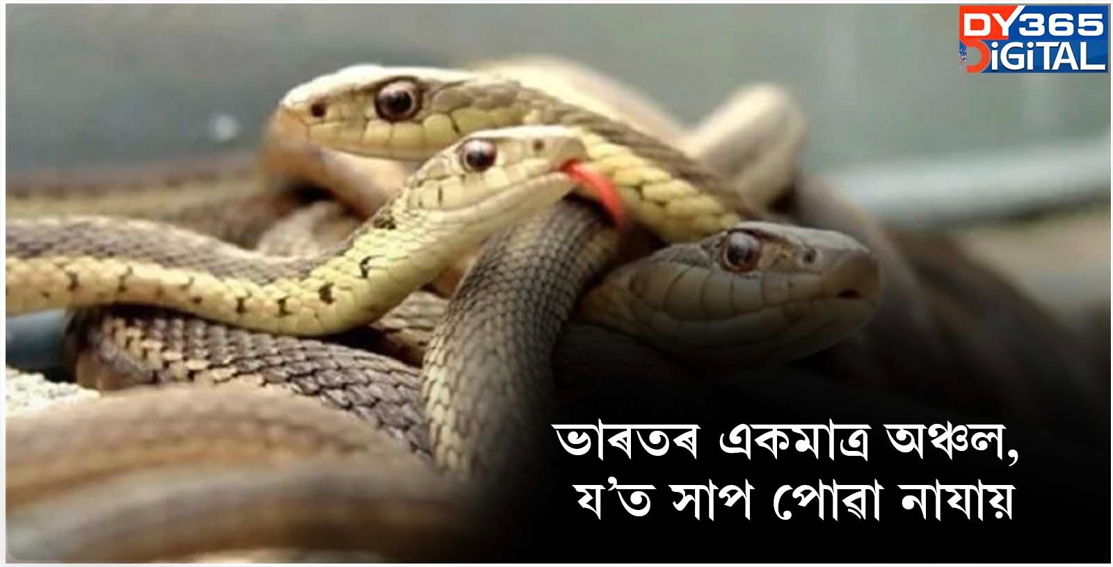  ভাৰতৰ একমাত্ৰ অঞ্চল, য