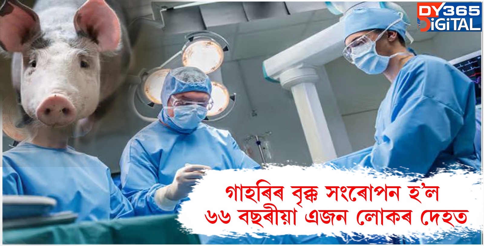 ৬৬ বছৰীয়া টিম এণ্ড্ৰুজৰ বাবে সেয়া আছিল জীৱন-মৃত্যুৰ কথা, কিয় সংৰোপন কৰা হ